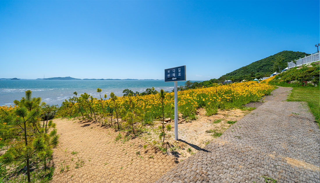 산책로